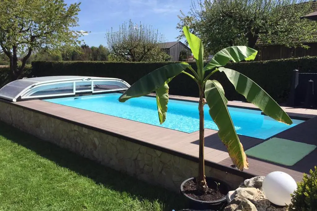 Swimmingpool mit Poolüberdachung und Bananenpflanze Erding